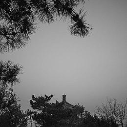 世嘉游戏《托杰与厄尔》将影视化 NBA球星库里参与制作